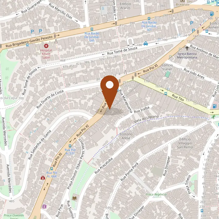 Mapa do entorno da unidade Pio XI, na Rua Pio XI, 377, no Alto da Lapa, com o alfinete no endereço